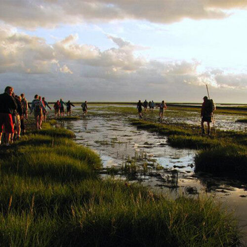 wadlopen met zonsondergang