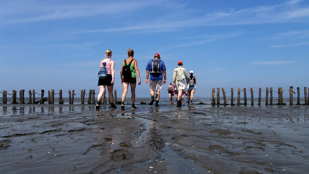 wadlopen Wadlopen Wadlopen